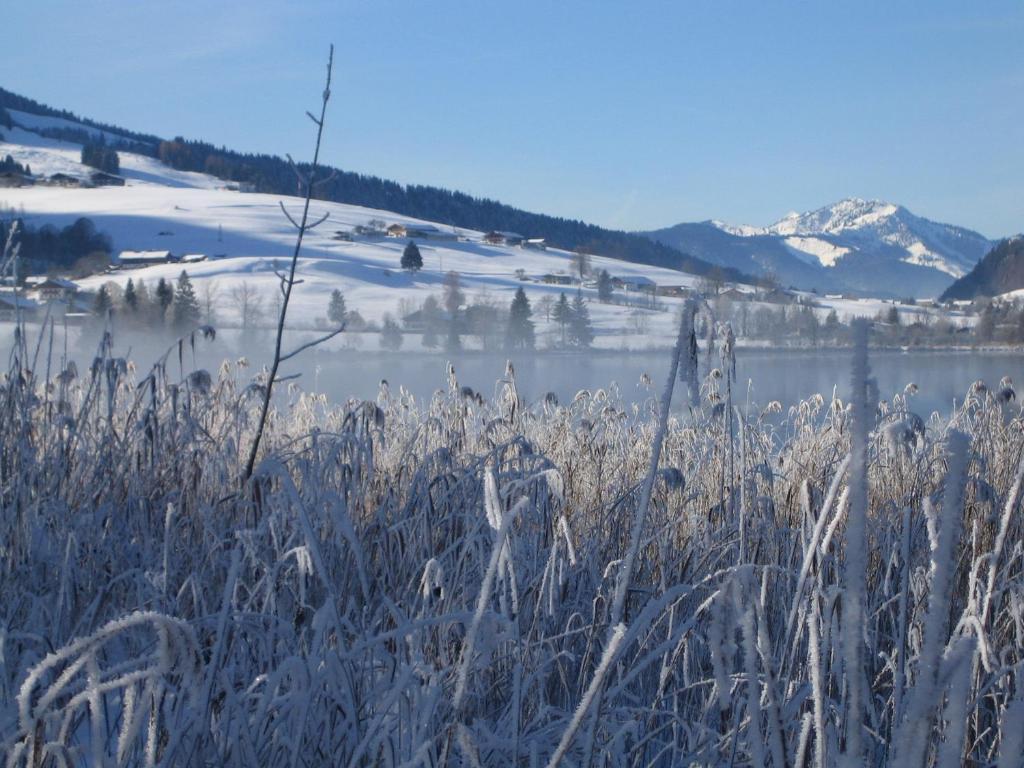 Gaestehaus Fahringer Walchsee Kültér fotó